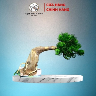 Lũa bonsai thủy sinh, layout bonsai trang trí bể cá cảnh, cây bonsai mini setup bể thuỷ sinh