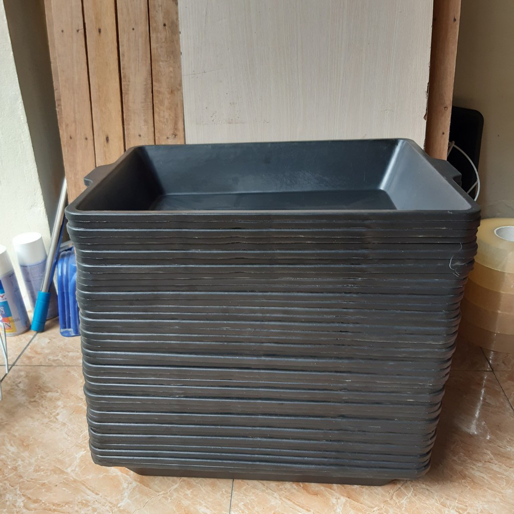 combo 10 máng trồng rau sạch, rau mầm, (khay trồng rau sạch rau mầm) màu xanh/đen