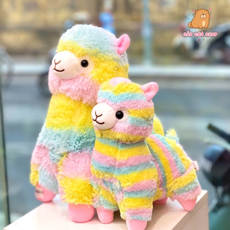CỪU ALPACAKE