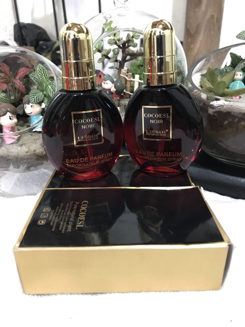 [BIG SALE] -Tinh dầu dưỡng tóc Coco Đỏ | BigBuy360 - bigbuy360.vn