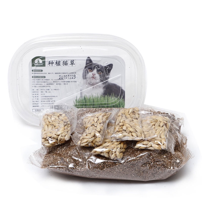 Combo Gieo Trồng Cỏ Lúa Mì Tiện Lợi Giúp Mèo Bổ Sung Chất Xơ, Tiêu Búi Lông MI0222 MIAOCAT
