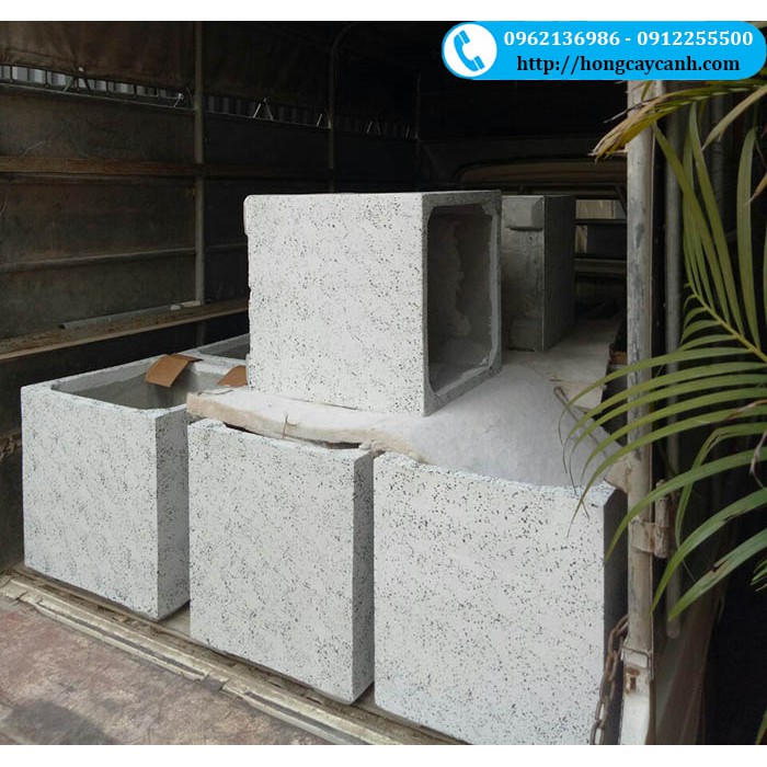 Chậu Vuông II Chậu Xi Măng Vuông Trồng Cây Cảnh