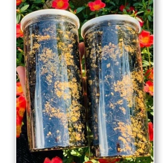 Rong biển cháy tỏi