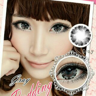 Lens xám tây - Lens gray