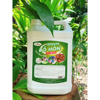 Enzym bồ hòn 5l