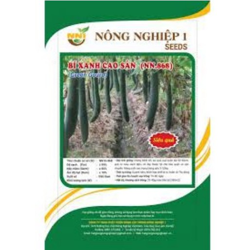 HẠT GIỐNG BÍ XANH CAO SẢN GÓI 10 GRAM [ Sale ]