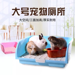 Khay vệ sinh thỏ bọ ú chuột lang guinea pig