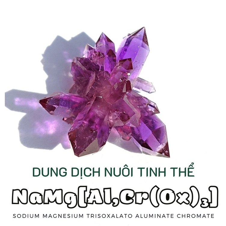 - Tặng mầm tinh thể (ib trước để dc tư vấn)