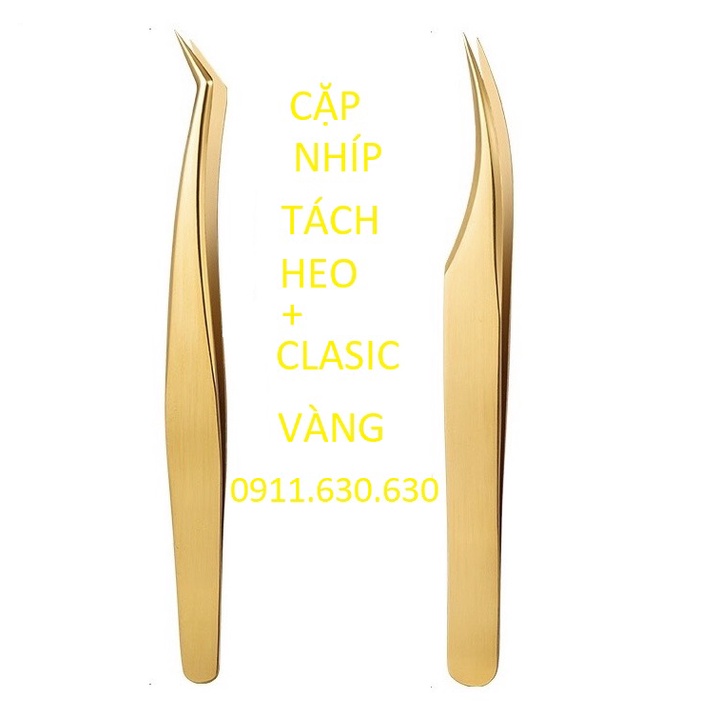 Cặp nhíp găp classic +tách heo vàng _dụng cụ nối mi_keo nối mi_Belash