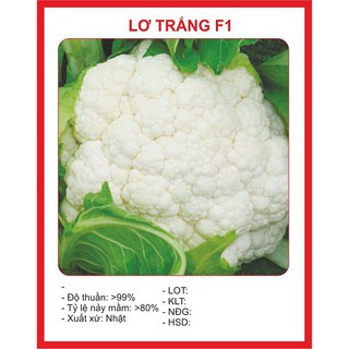 Hạt Giống Súp Lơ Trắng ( Bông Cải Trắng ) - Gói 0,2 Gram - STHG2