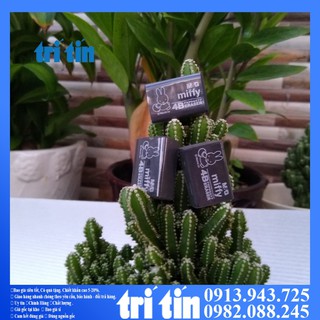 ✅ 𝑭𝒓𝒆𝒆𝒔𝒉𝒊𝒑 ✅Cục tẩy chì 4B  Nhỏ