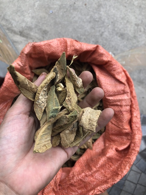 Núc Nác vỏ trị gàu 100g | BigBuy360 - bigbuy360.vn