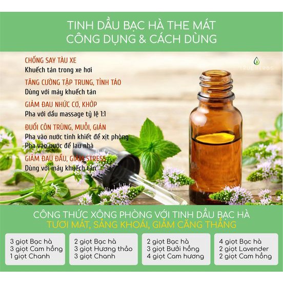 Tinh dầu bạc hà (peppermint) - Tinh dầu thiên nhiên hữu cơ nhập khẩu từ Mỹ | BigBuy360 - bigbuy360.vn