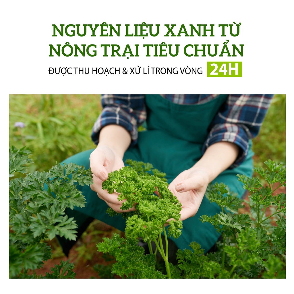 (GIẢM CÂN) Bột Rau Củ Nguyên Chất Hỗ Trợ Giảm Cân, Detox Cơ Thể, Mịn Da Uống Trực Tiếp MODOTOX (Hũ)