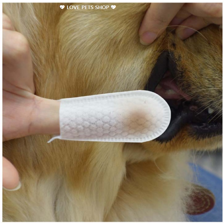 Khăn ướt lau răng, vệ sinh răng miệng cho Chó Mèo chiết xuất từ lô hội hộp 55 miếng - Love pets shop