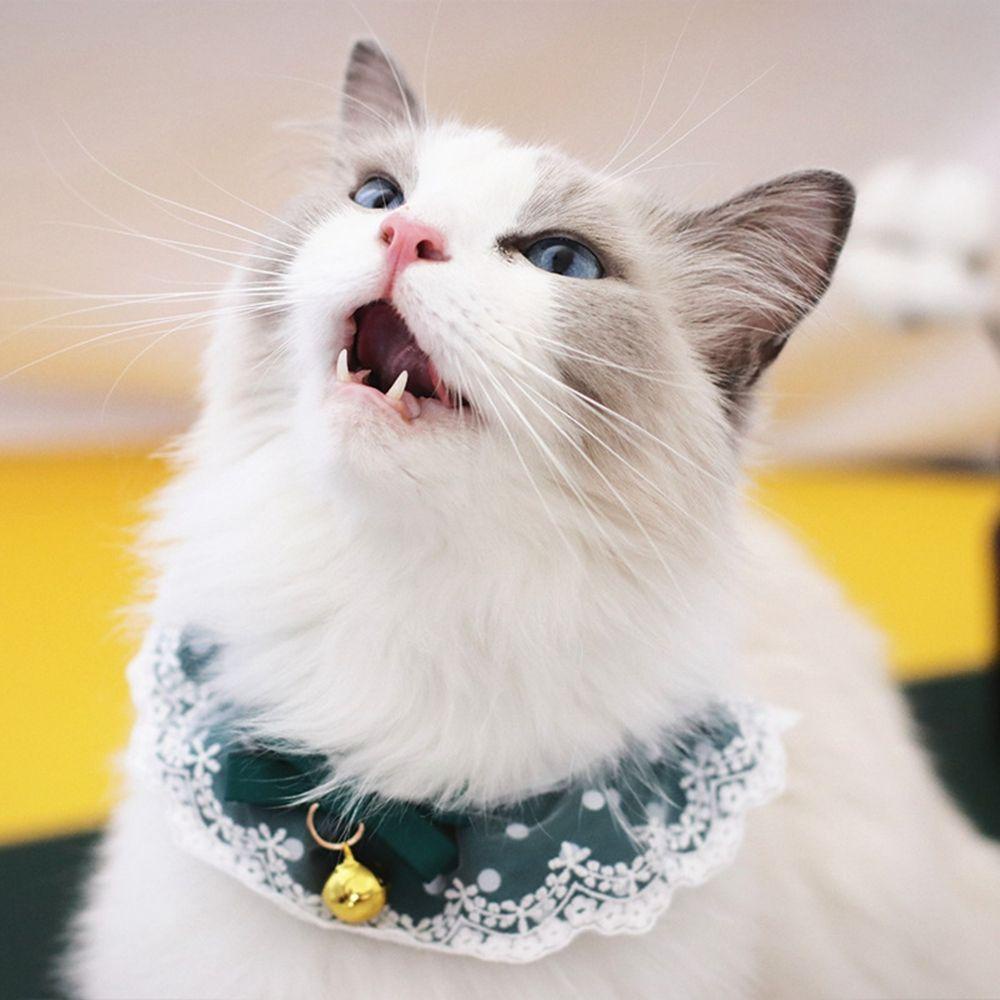 [COD] Yếm Đeo Cổ Họa Tiết Giáng Sinh Đáng Yêu Dành Cho Thú Cưng