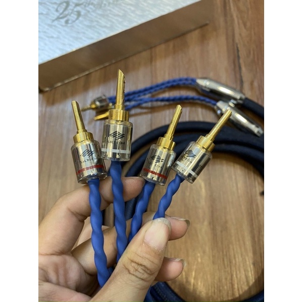 Dây loa silitech Hà Lan