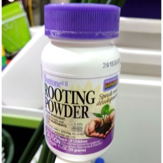 Rooting Powder siêu kích rễ nhập khẩu Mỹ