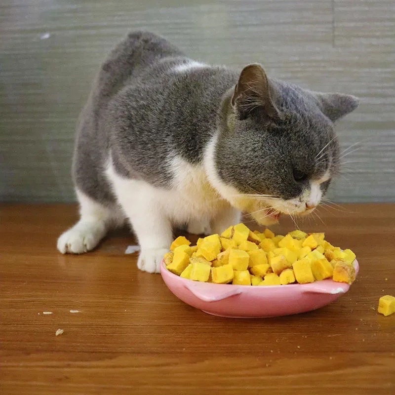 Lòng đỏ trứng gà sấy khô ăn vặt cho thú cưng