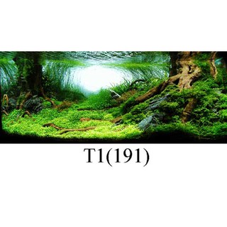 Tranh 3d dán bể cá có keo sẵn , chất liệu decal 4 lớp cao cấp , trang trí bể cá nhiều kích thướt chọn lựa ( 30x25cm ..)