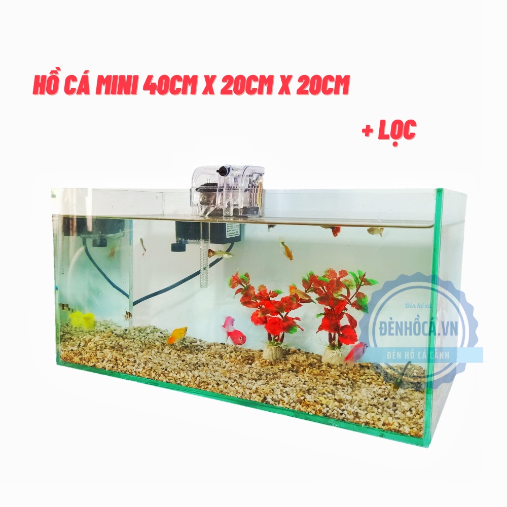 Bể cá mini D40cm x R20cm x C20cm tặng kèm phụ kiện