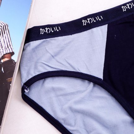 Quần Sịp Nam Dáng Tam Giác Chất Cotton Mềm Mại, Có Độ Co Giãn Đàn Hồi| Quần Lót Nam Nhật Chính Hãng