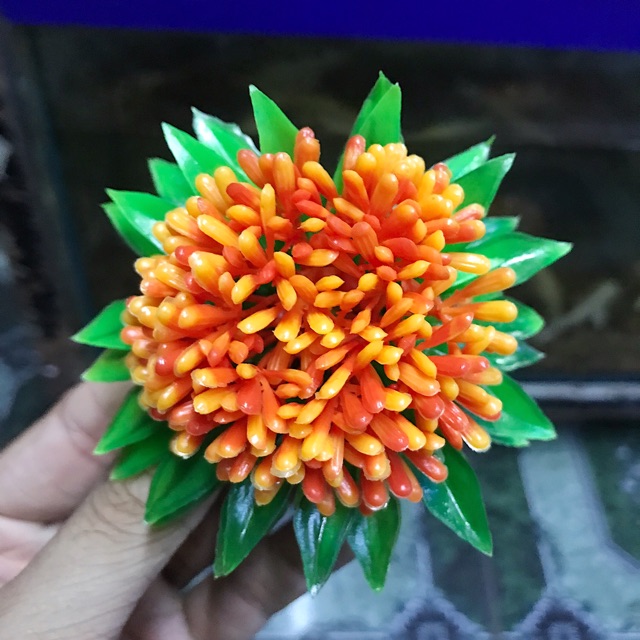 RONG GIẢ TRANG TRÍ HỒ CÁ NON BỘ ĐƯỜNG KÍNH 8CM CAO 6CM
