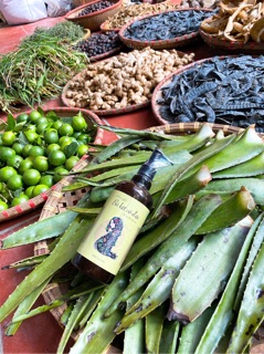 Dầu gội bồ kết
