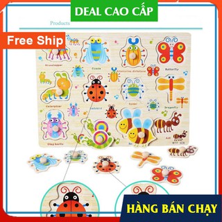 Đồ chơi Lắp ráp bằng Núm gỗ cho Bé(23x30x0.5cm )