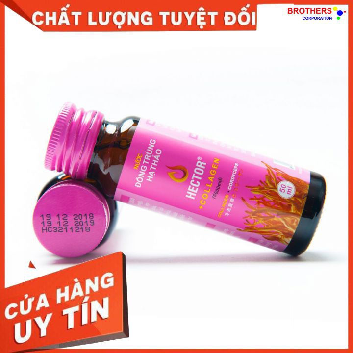 [Gói trải nghiệm] [Hỗ trợ freeship] Nước Đông Trùng Hạ Thảo Hector Collagen (02 chai Collagen x 50ml)