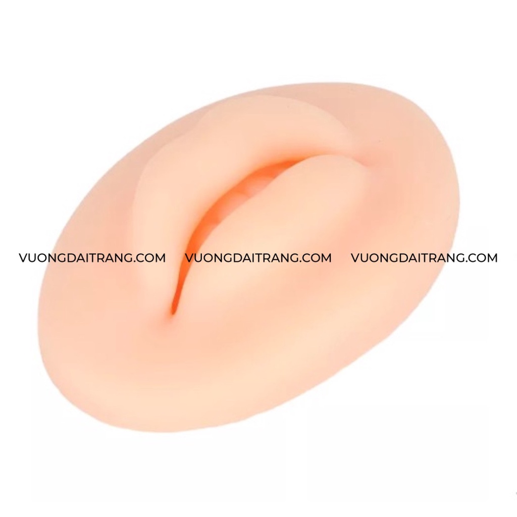 Khuôn môi silicon 3D tập phun xăm