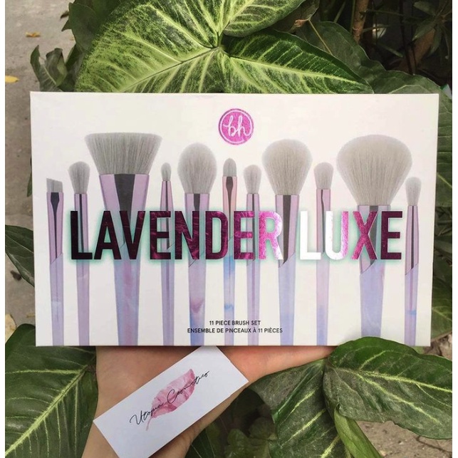 Bọ cọ BH lavender
