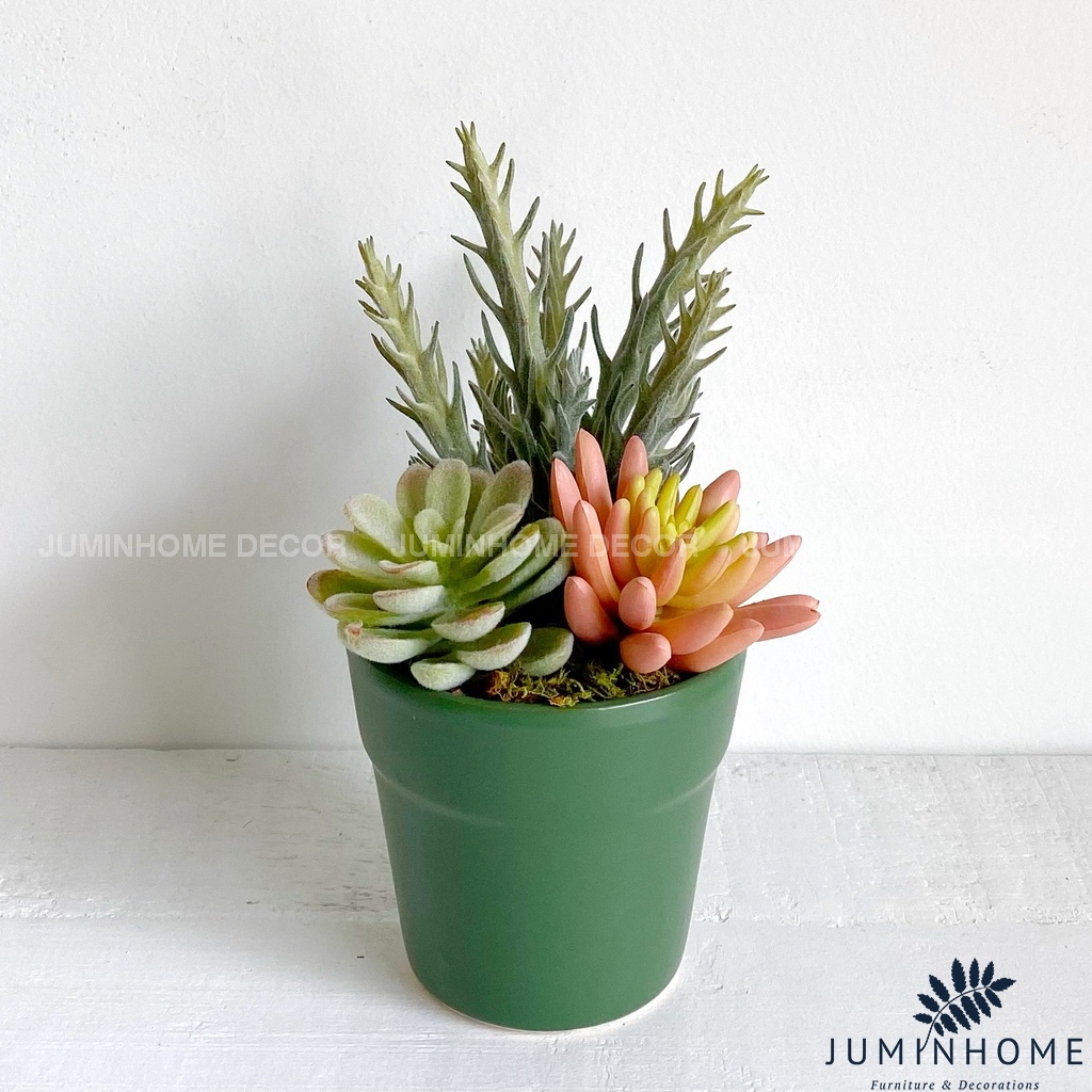 Cây giả Decor - Chậu cây mini Decor Trang trí để bàn