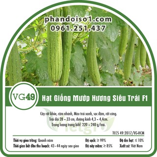 Hạt Giống Mướp Hương Siêu Trái F1 Vietgro VG49 (Gói 10 hạt - Gói 5 gram)