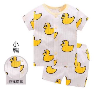 Bộ QC chất cotton giấy