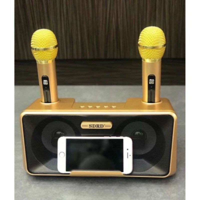 Loa hát karaoke SD 301 tặng kèm 2 mic xinh.