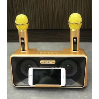 Loa hát karaoke SD 301.Kèm 2 mic.