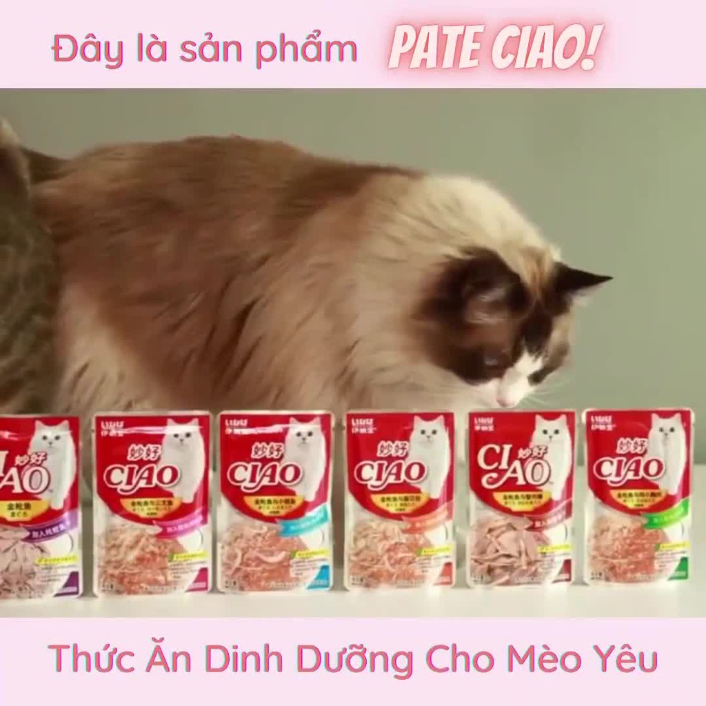 Pate mèo Ciao 60g phân loại vị phong phú - Pate xay nhuyễn đầy đủ dưỡng chất