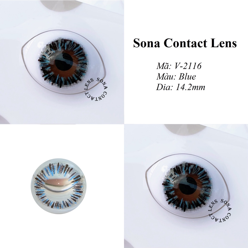 Lens Blue V-2116 [EXP 9/2023] (kính áp tròng Sona Hàn Quốc)