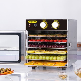 Máy sấy khô hoa quả thực phẩm st 04