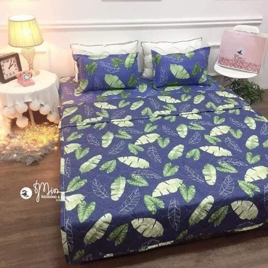 Sét Chăn hè Ga Gối  Cotton Poly Emmidecor Mẫu Lá Chuối