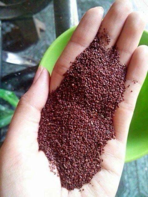 MẶT NẠ NGŨ HOA HẠT