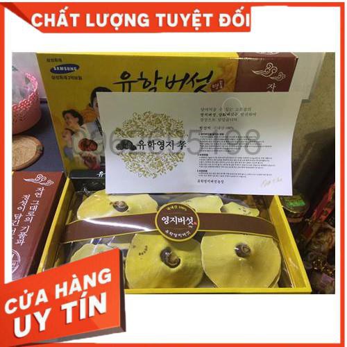 GIÁ SỐC: HỘP NẤM LINH CHI ĐỎ HÀN QUỐC HỘP CÔ GÁI 1KG