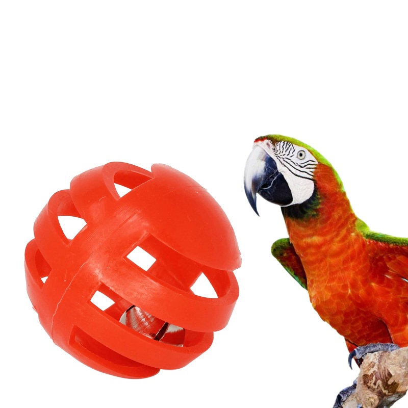 Đồ Chơi Huấn Luyện Chim Vẹt Gắn Chuông Tiện Dụng