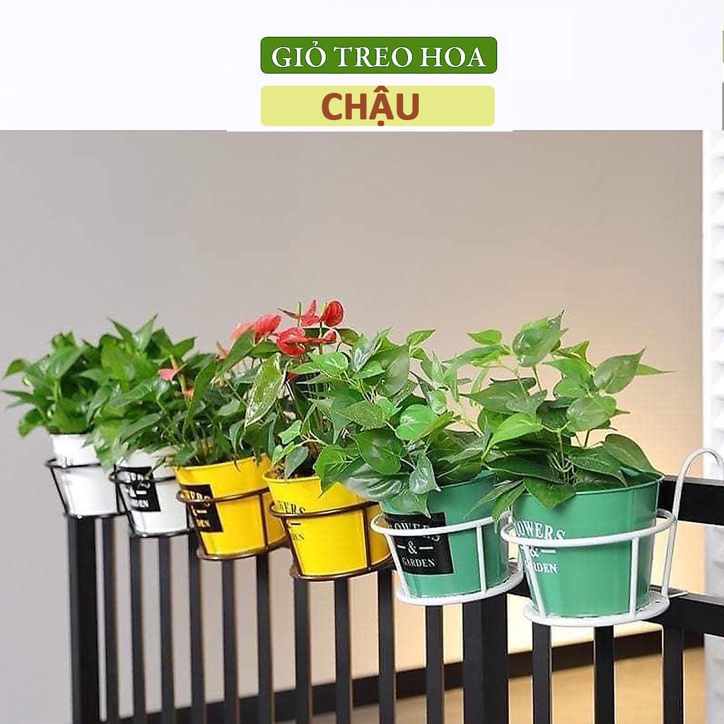 Chậu màu xanh( kim loại) và giỏ treo ban công hình tròn thiết kế độc đáo, trang trí cho khu vườn ban công