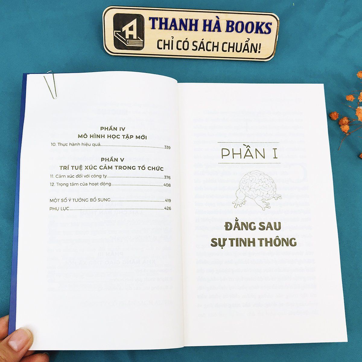 Sách - Trí Tuệ Xúc Cảm Ứng Dụng Trong Công Việc (Bìa xanh) | BigBuy360 - bigbuy360.vn