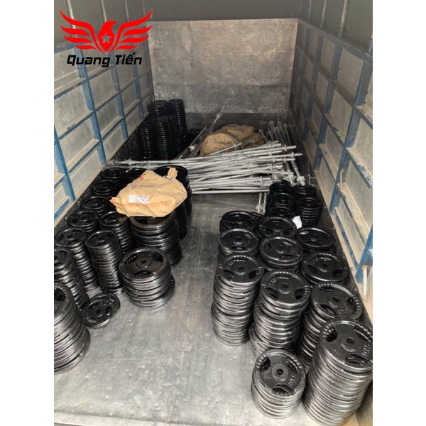 Tạ bánh gang 20kg, tạ đĩa gang 20kg phi 30 lỗ nhỏ QT08
