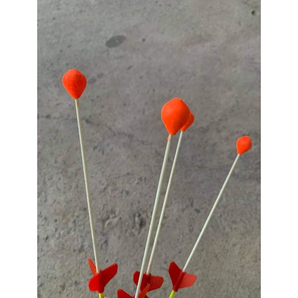 Phao câu cá_ phao câu lục