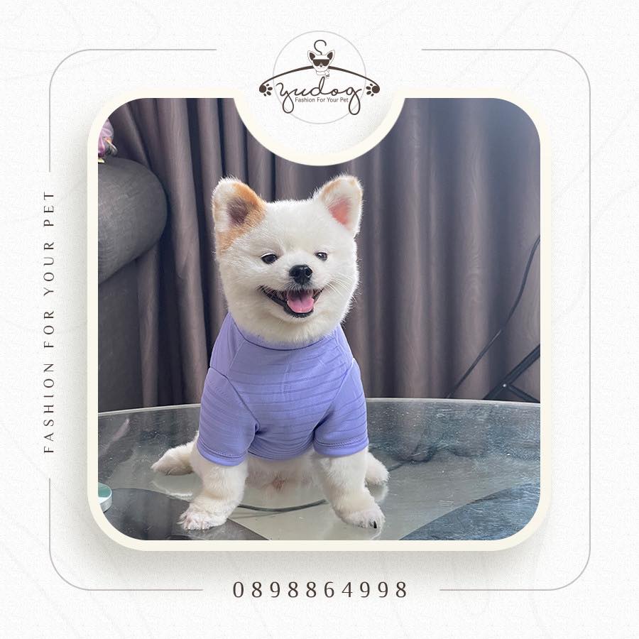 Áo thun có tay dập ly kèm nơ cho thú cưng yudog
