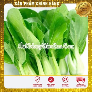 Hạt Giống Cải Chíp(50 gr)